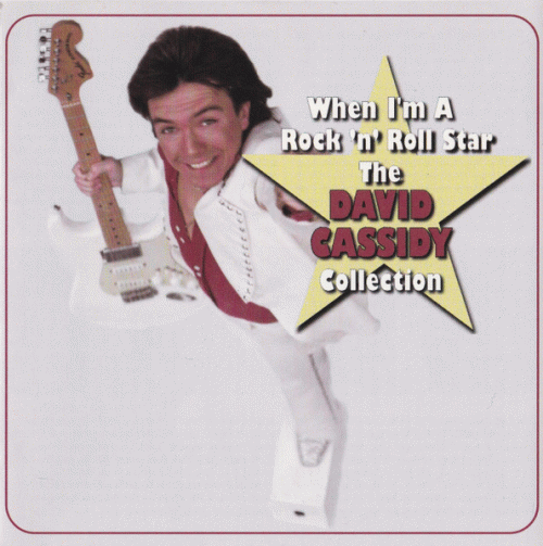 David Cassidy : When I'm a Rock 'N' Roll Star: The David Cassidy Collection
